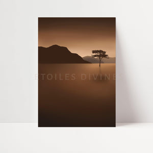 CLARTÉ SUBTILE - Etoiles Divines