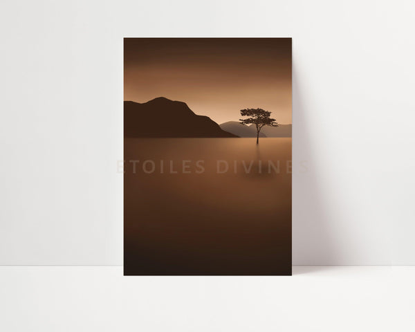 CLARTÉ SUBTILE - Etoiles Divines